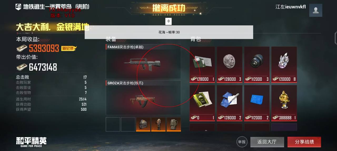 和平精英【虎爪】辅助