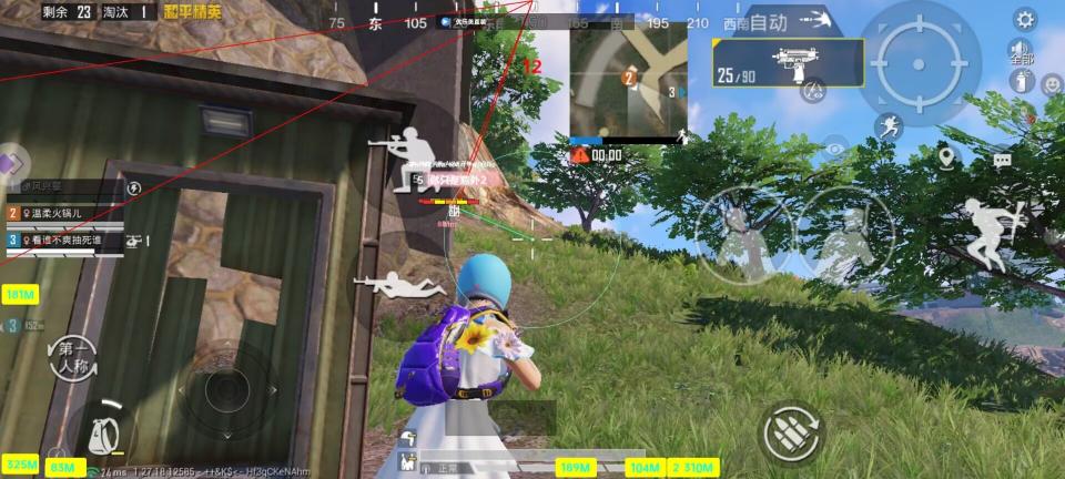 和平精英内核【蔷薇】辅助透视自瞄